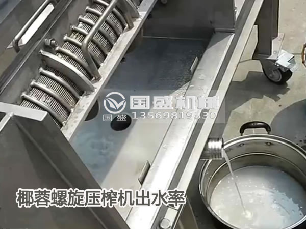 葉蓉榨汁機